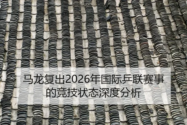 马龙复出2026年国际乒联赛事的竞技状态深度分析