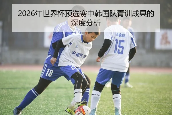 2026年世界杯预选赛中韩国队青训成果的深度分析