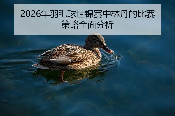 2026年羽毛球世锦赛中林丹的比赛策略全面分析