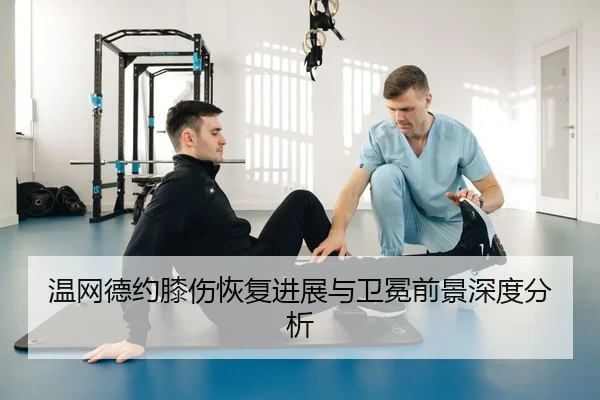 wen-wang-de-yue-xi-shang-hui-fu-jin-zhan-yu-wei-mian-qian-jing-shen-du-fen-xi-3-350.jpg