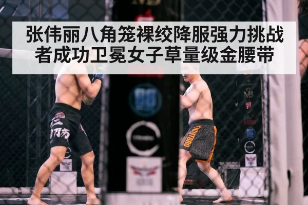 MMA cage fight action