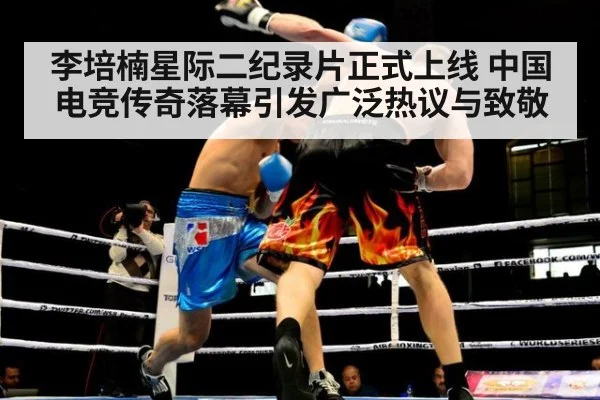 李培楠星际二纪录片正式上线 中国电竞传奇落幕引发广泛热议与致敬